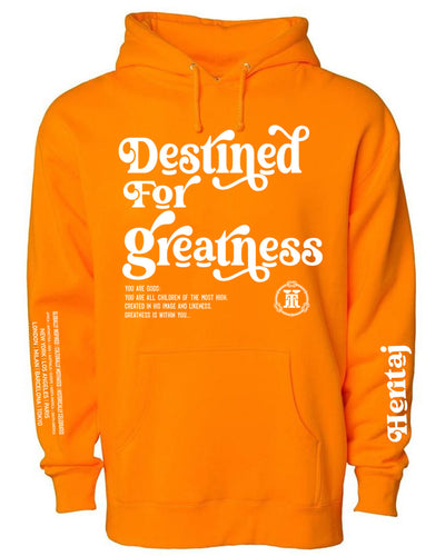 DESTINED for GREATNESS-(Unisex Heavyweight Hoodie)-SO