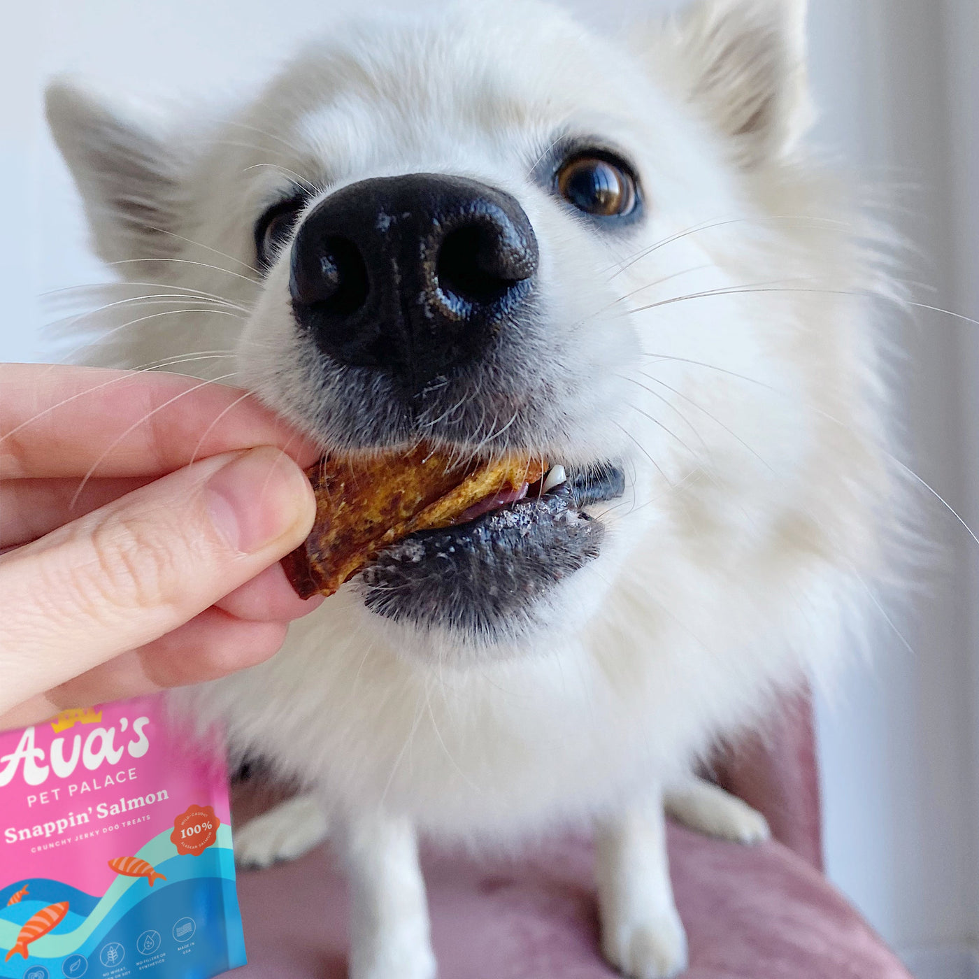 Crunchy Jerky Dog Treats- Snappin' Salmon
